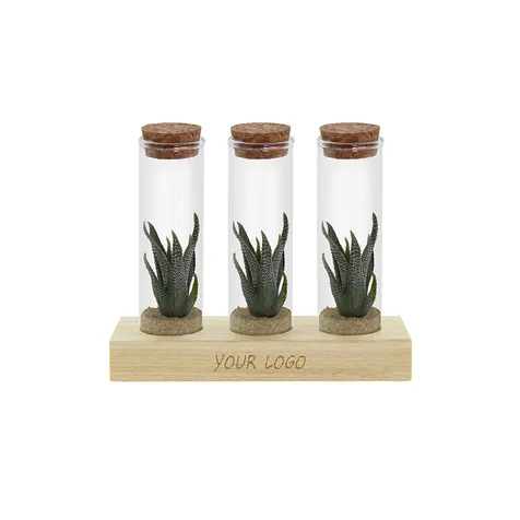 Tiny Treasurez® - Trio tube & wood